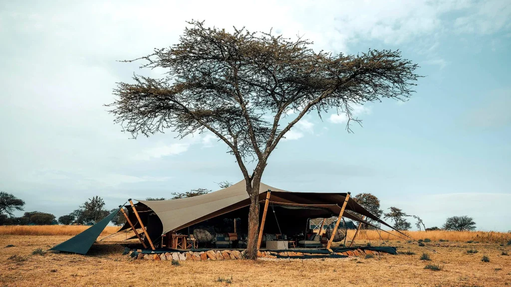 Usawa Serengeti Piaya