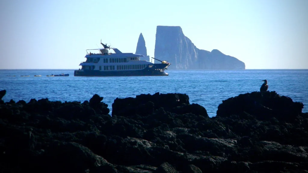 MV Origin 7B