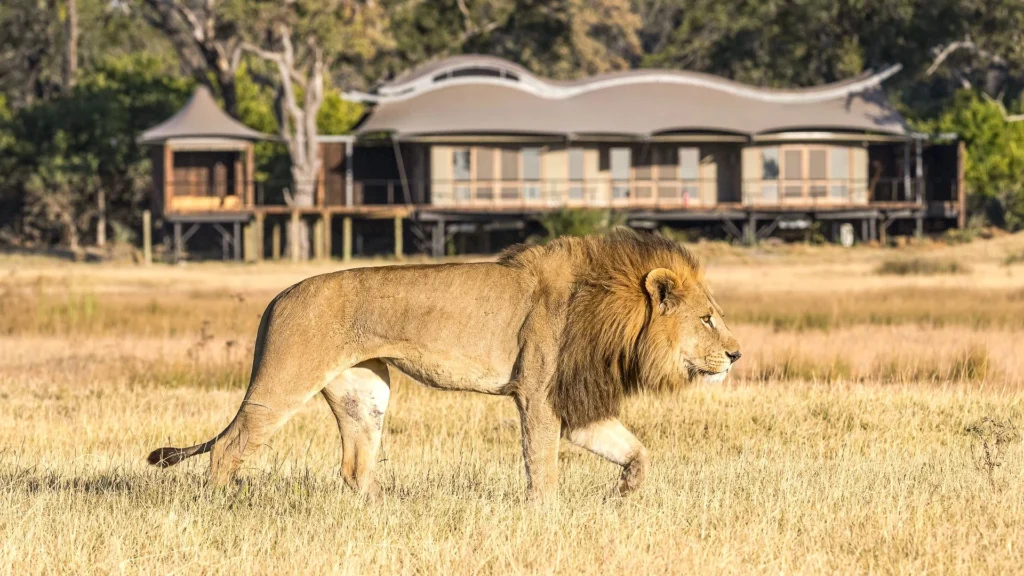 Xigera Safari Lodge