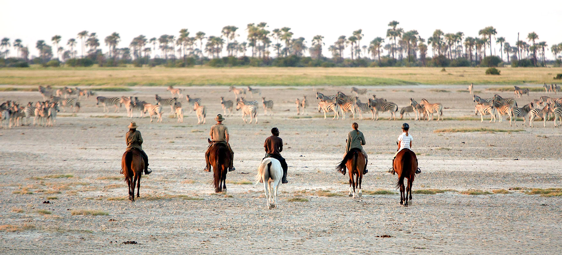 let us know your thoughts about Botswana and we will make sure to deliver the perfect trip