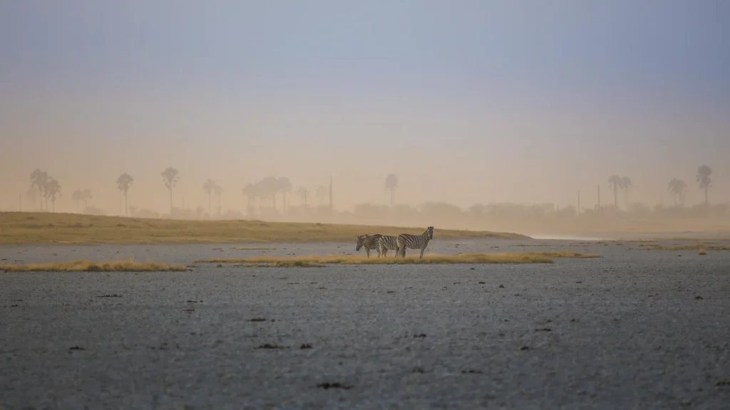Botswana