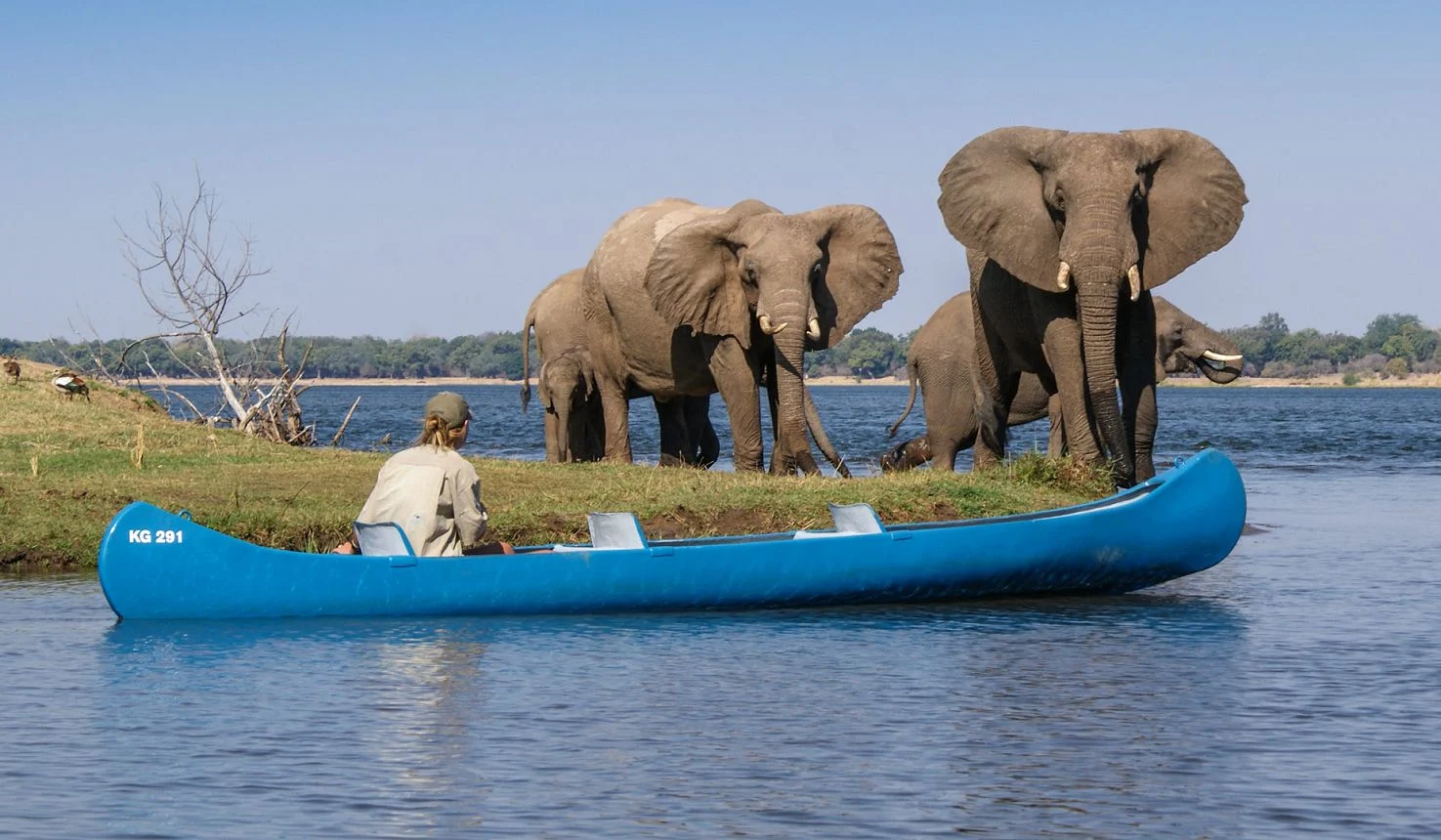 River Horse Canoe 2N