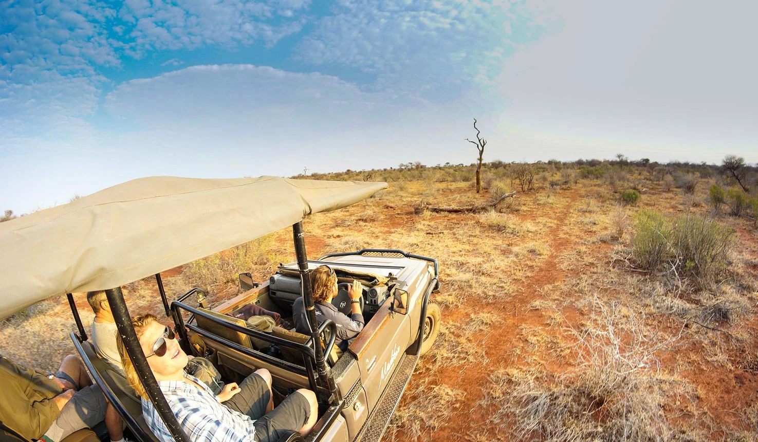 Madikwe Safari Lodge