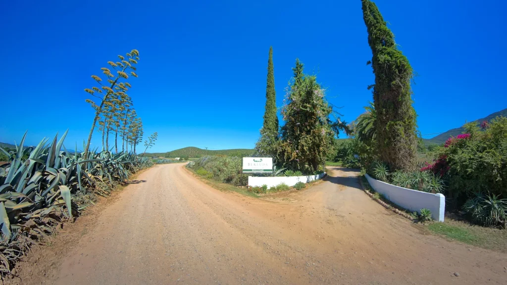 Berluda Farm