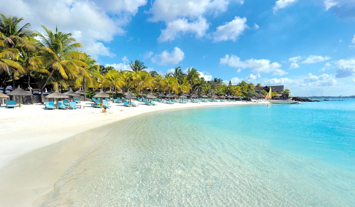 Beachcomber Royal Palm