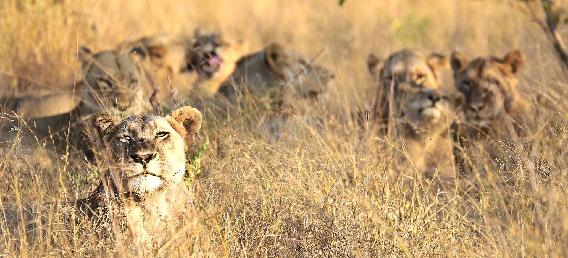 is by far the most-visited wildlife reserve in Africa