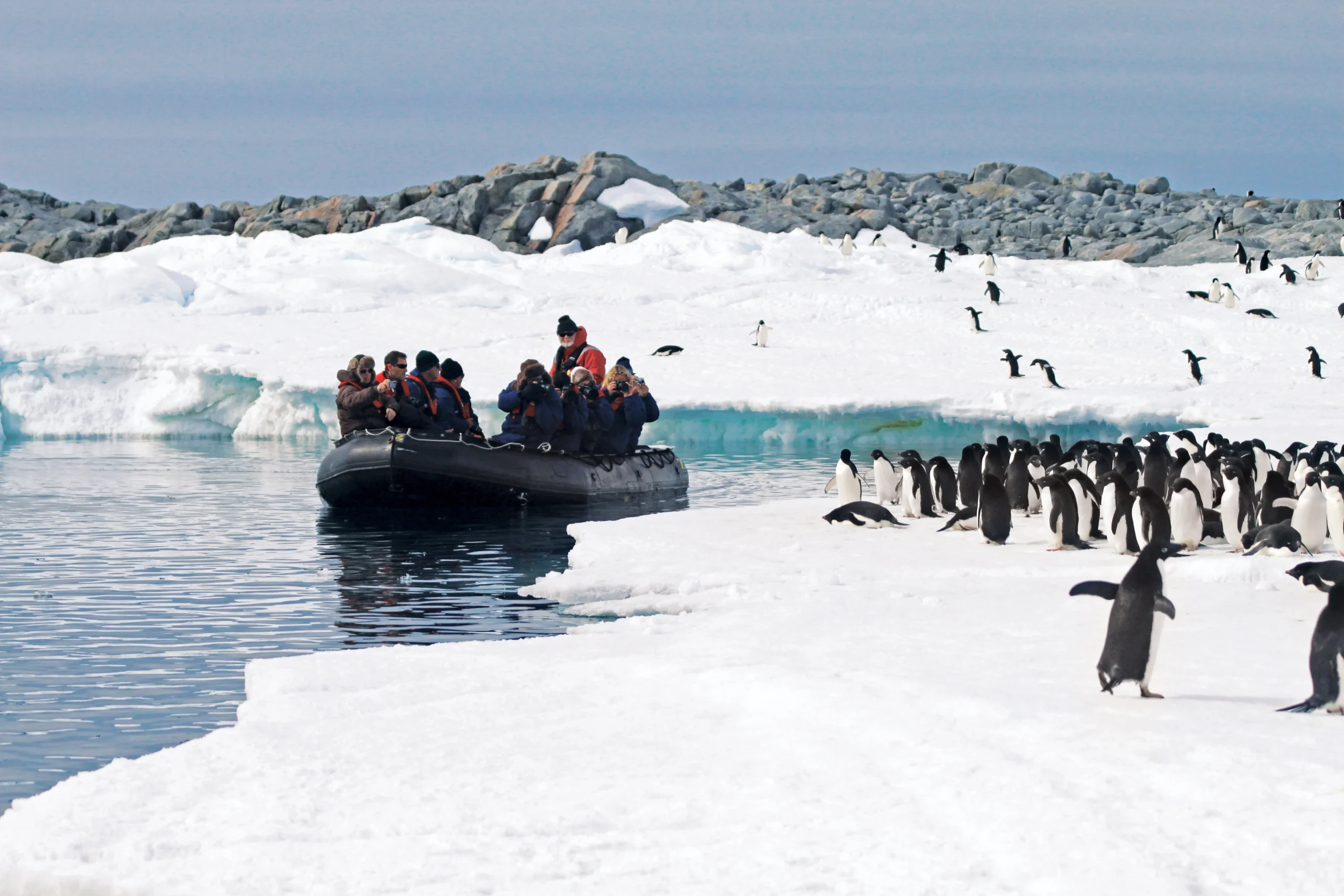 let us know your thoughts about Antarctica and we will help you create the perfect trip