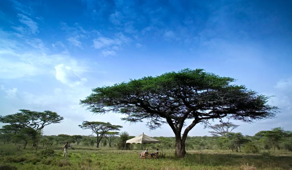 Serengeti Under Canvas Central