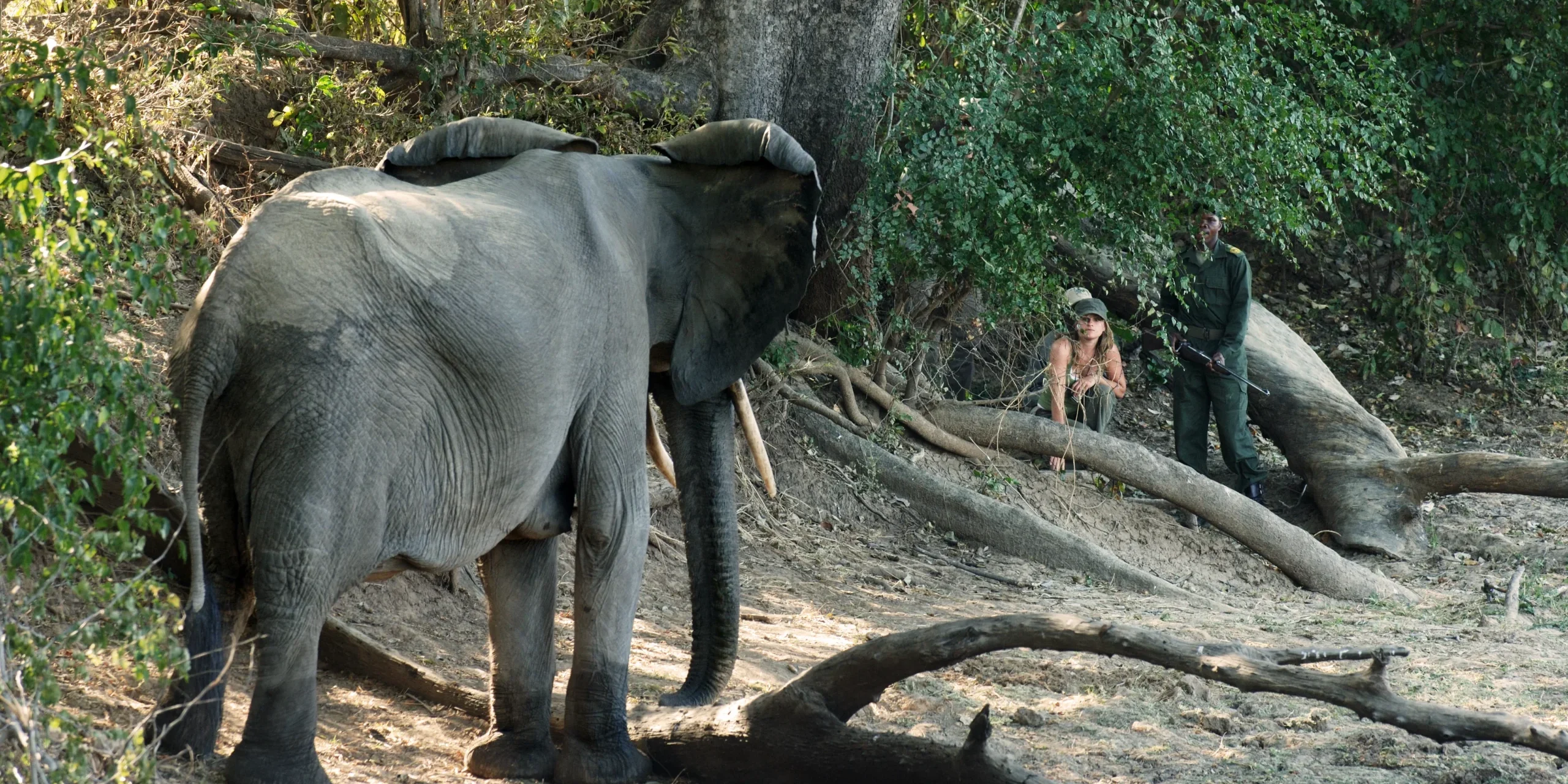 let us know how hardcore you want to go and we will deliver the perfect walking safari