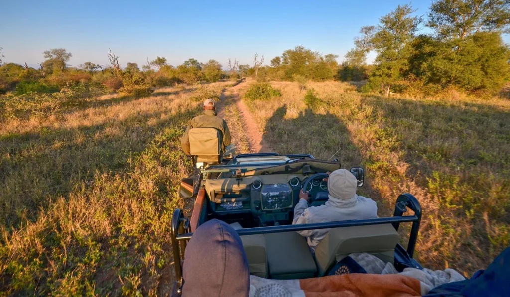 Makalali Reserve
