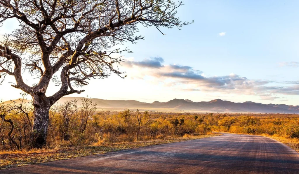 Kruger Park Central