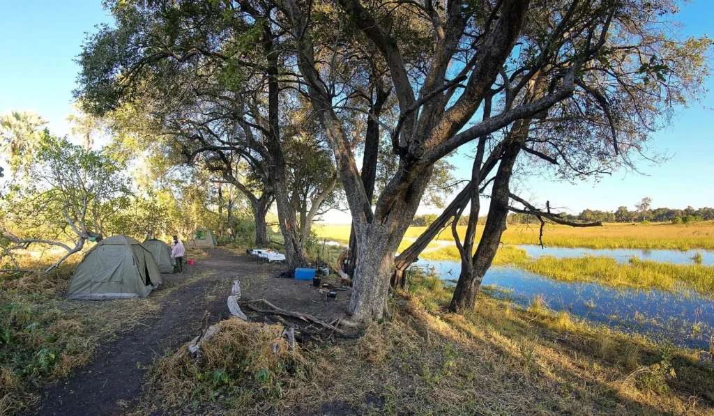 Gunns Mokoro Bivouac