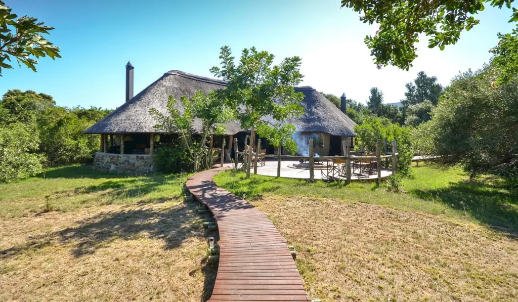 Sibuya Forest Camp