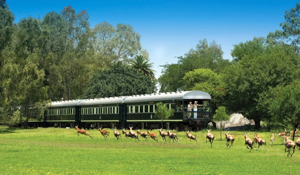 Rovos Vic Falls to Pretoria 4N