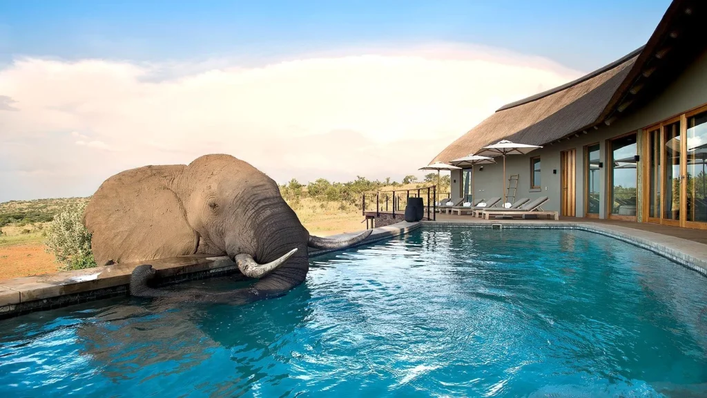Mhondoro Lodge