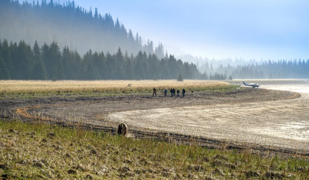 Northwild Brown Bear Bay