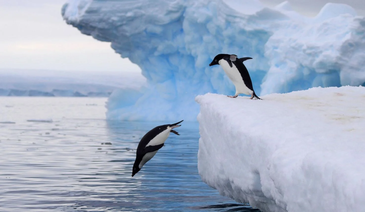 Antarctica East