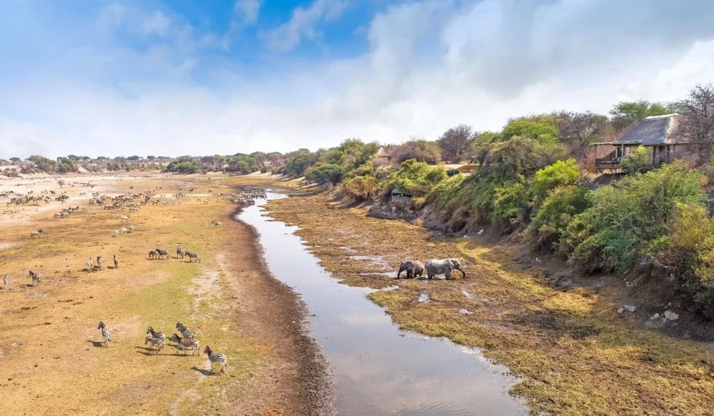 Makgadikgadi