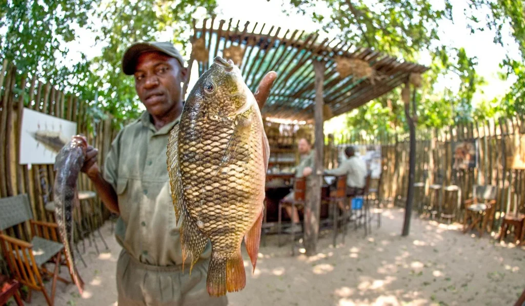 Goliath Tented Camp