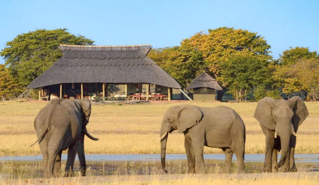 Camp Hwange