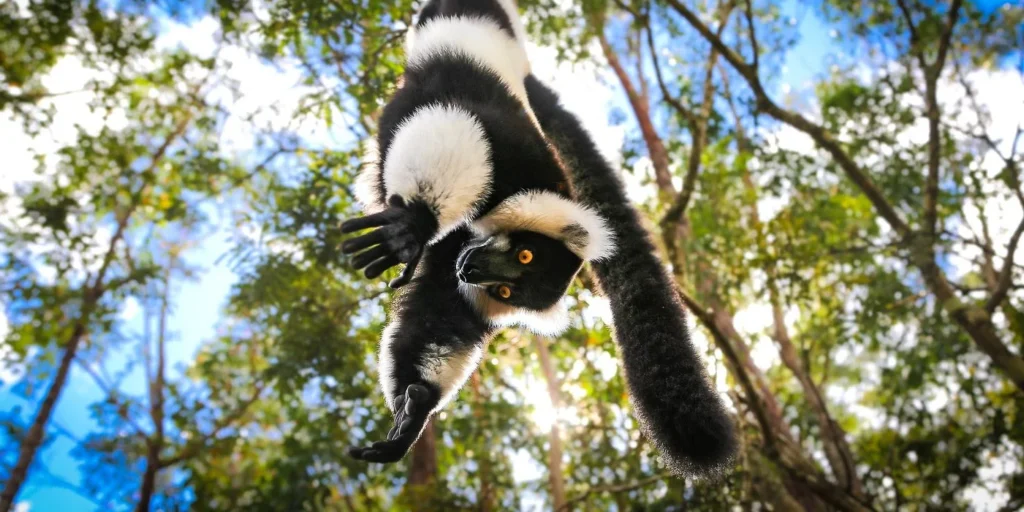 Madagascar