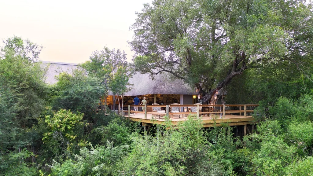 Londolozi Pioneer