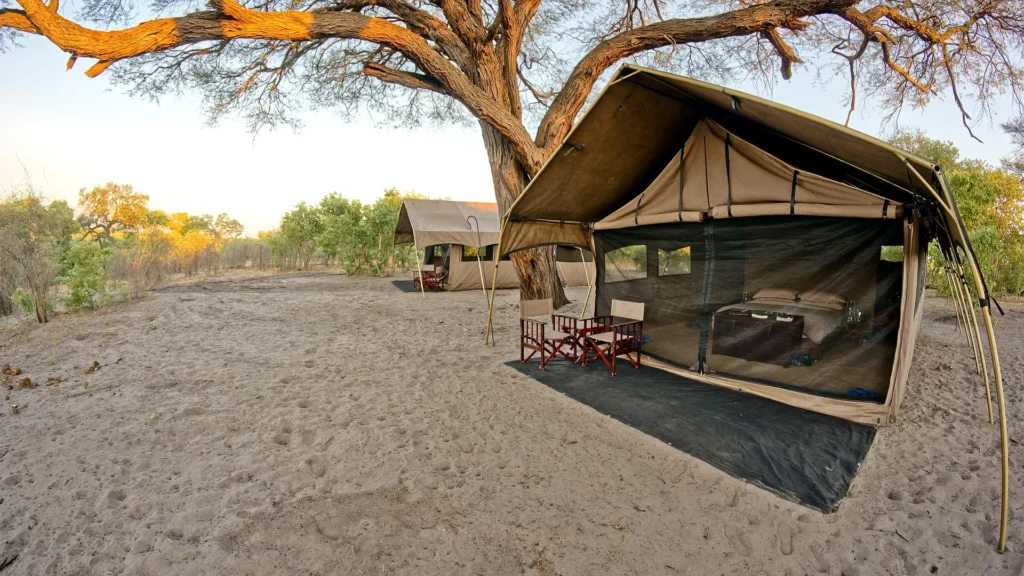Savute Under Canvas
