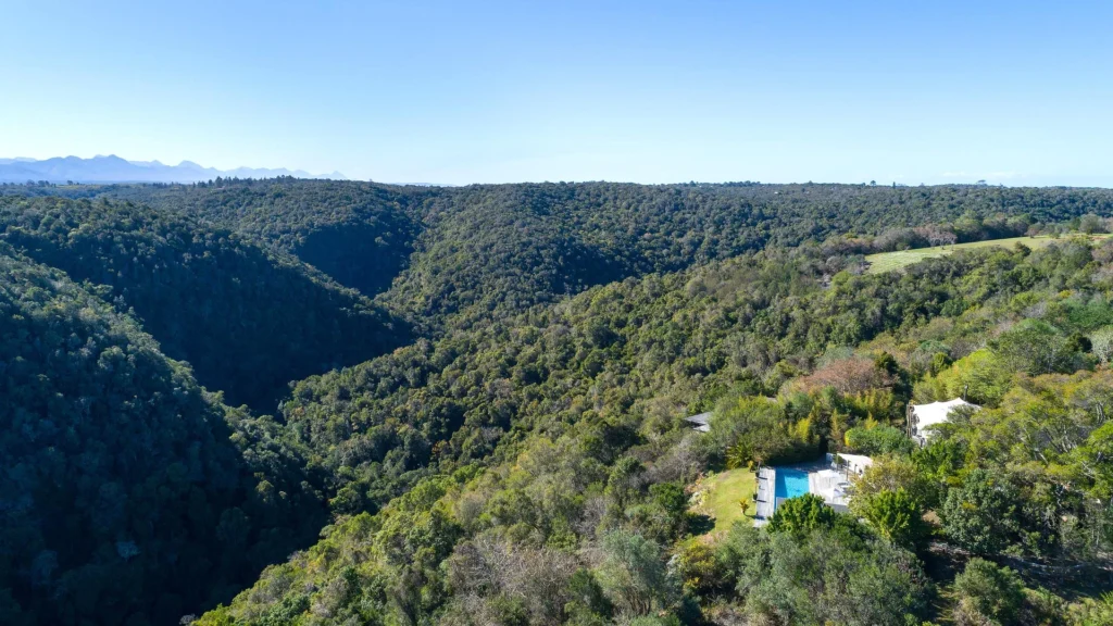 Hog Hollow Villa