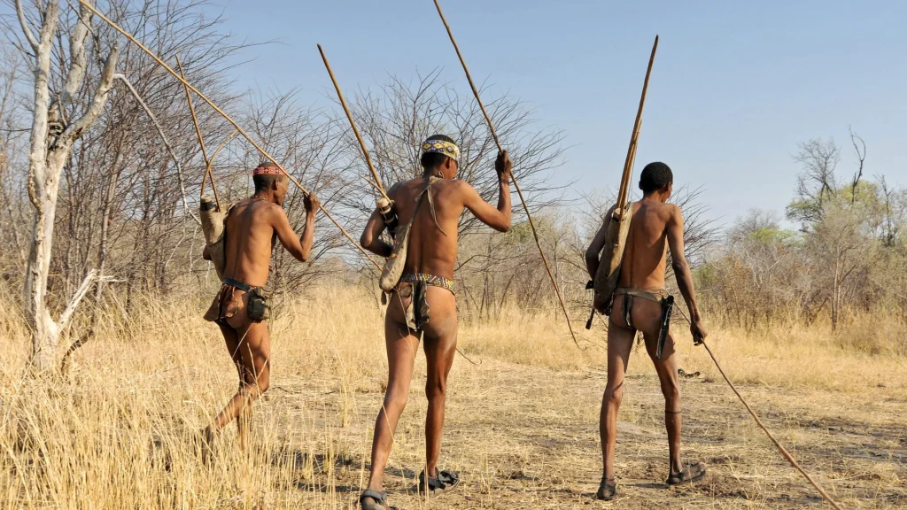 Central Kalahari