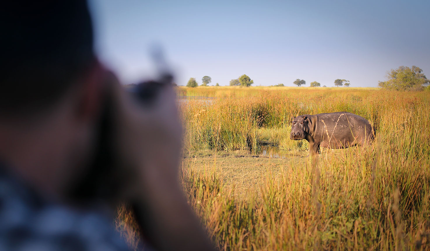 is a reasonably strong location for authentic walking safari