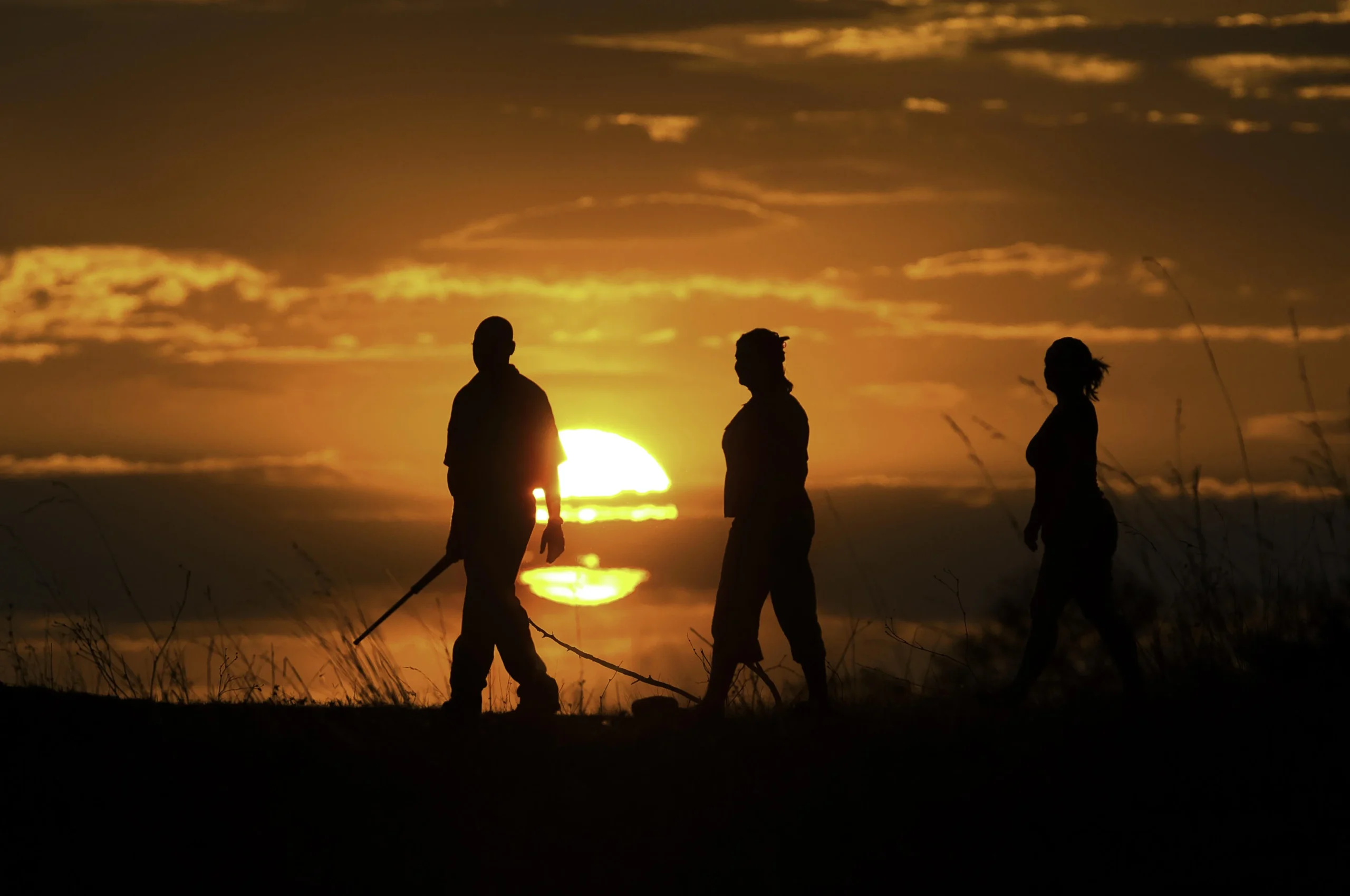 we will ensure you get out with the very best walking guides