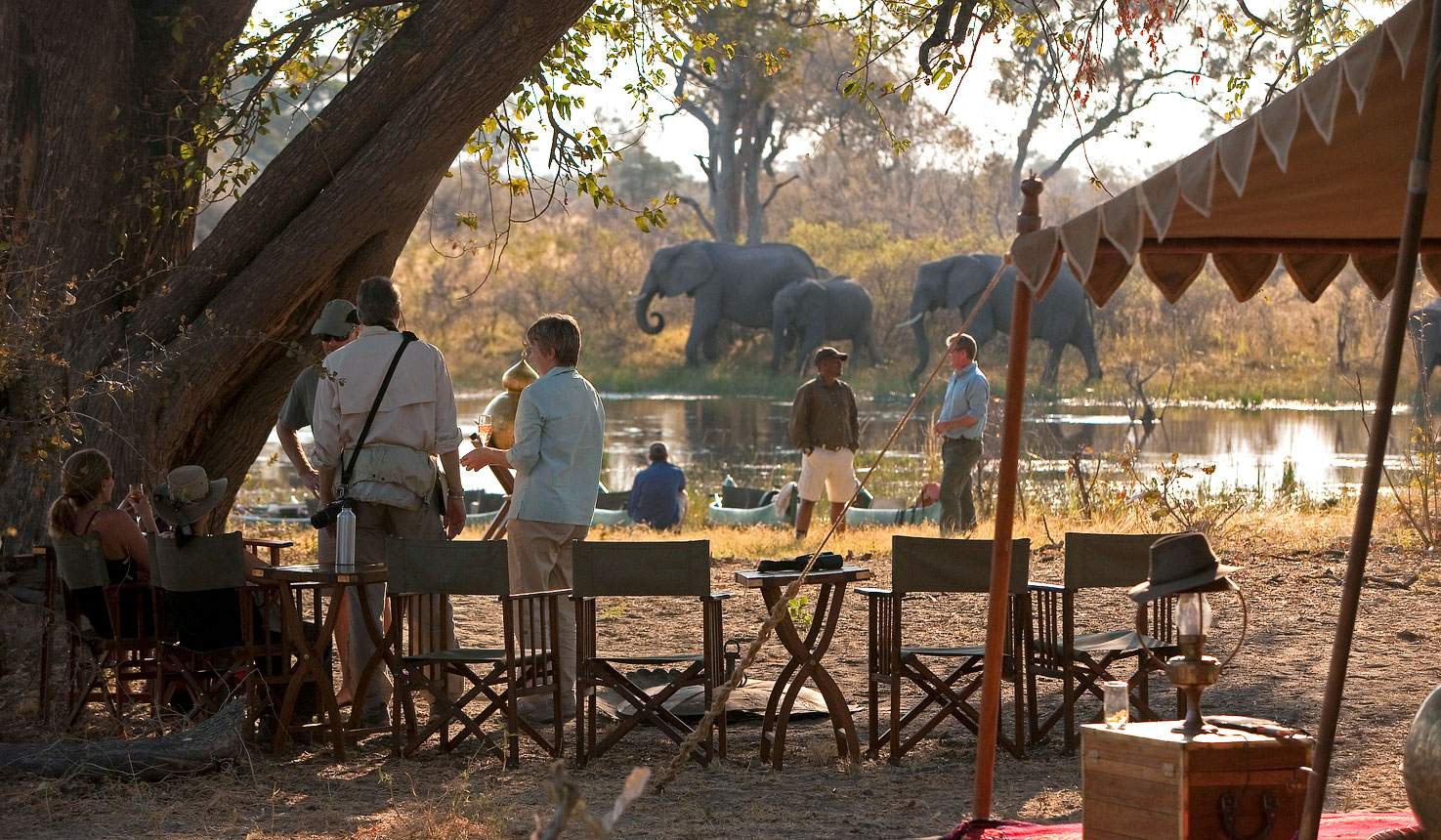 Luxury safari in Botswana