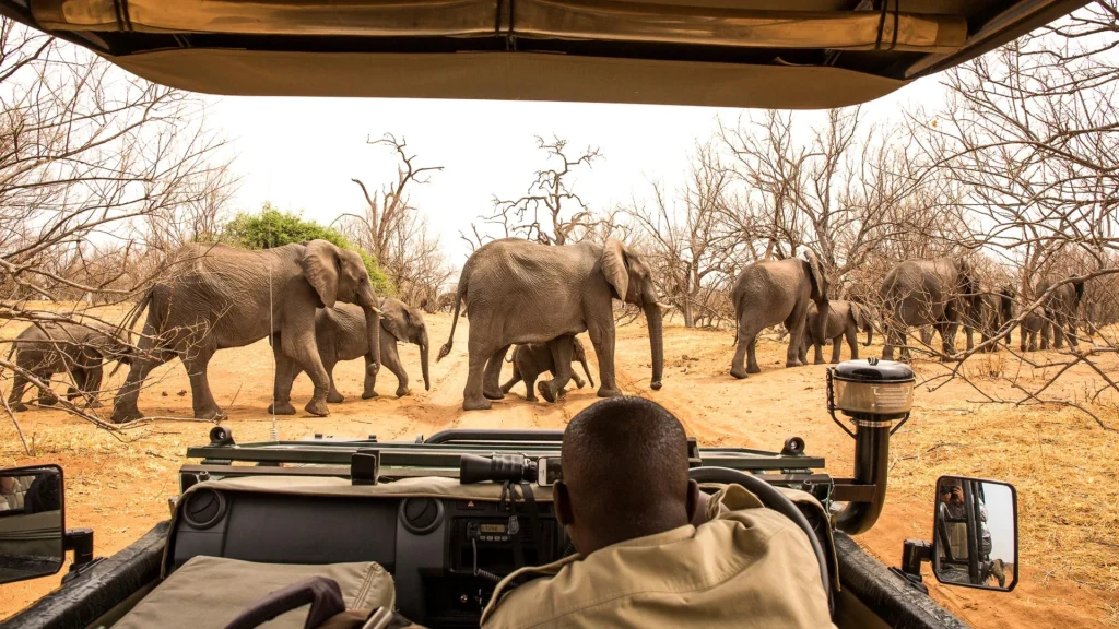 Chobe