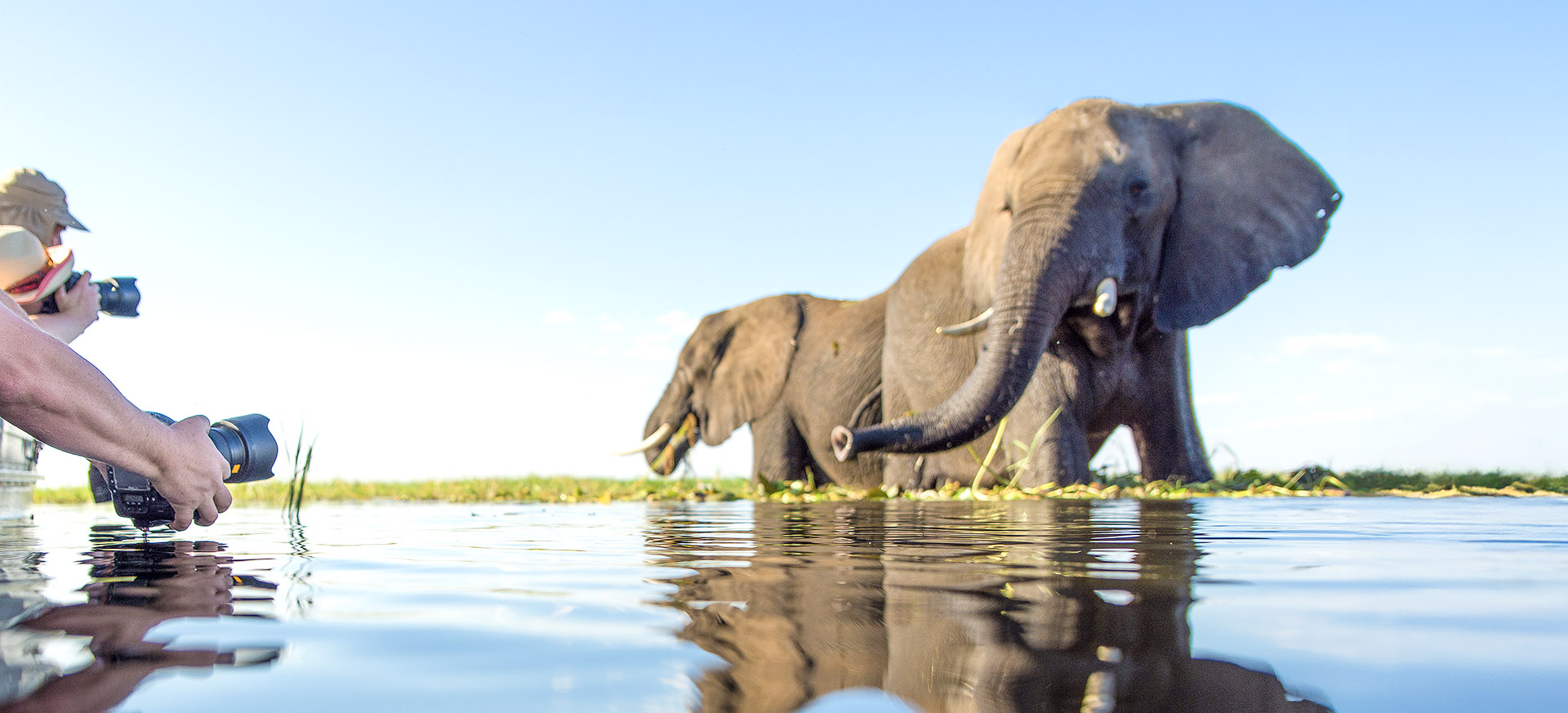 is a fabulous location for wildlife photography