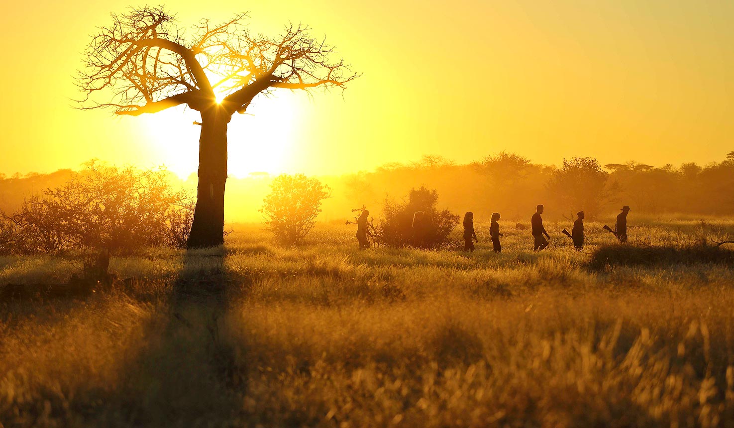 let us know what you have in mind and we will help you to create the perfect trip