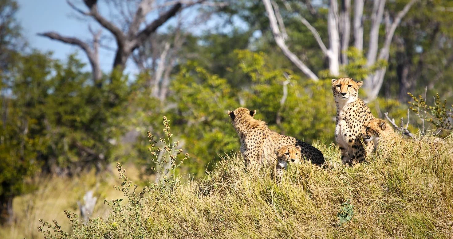 protecting wilderness through peak humanity
