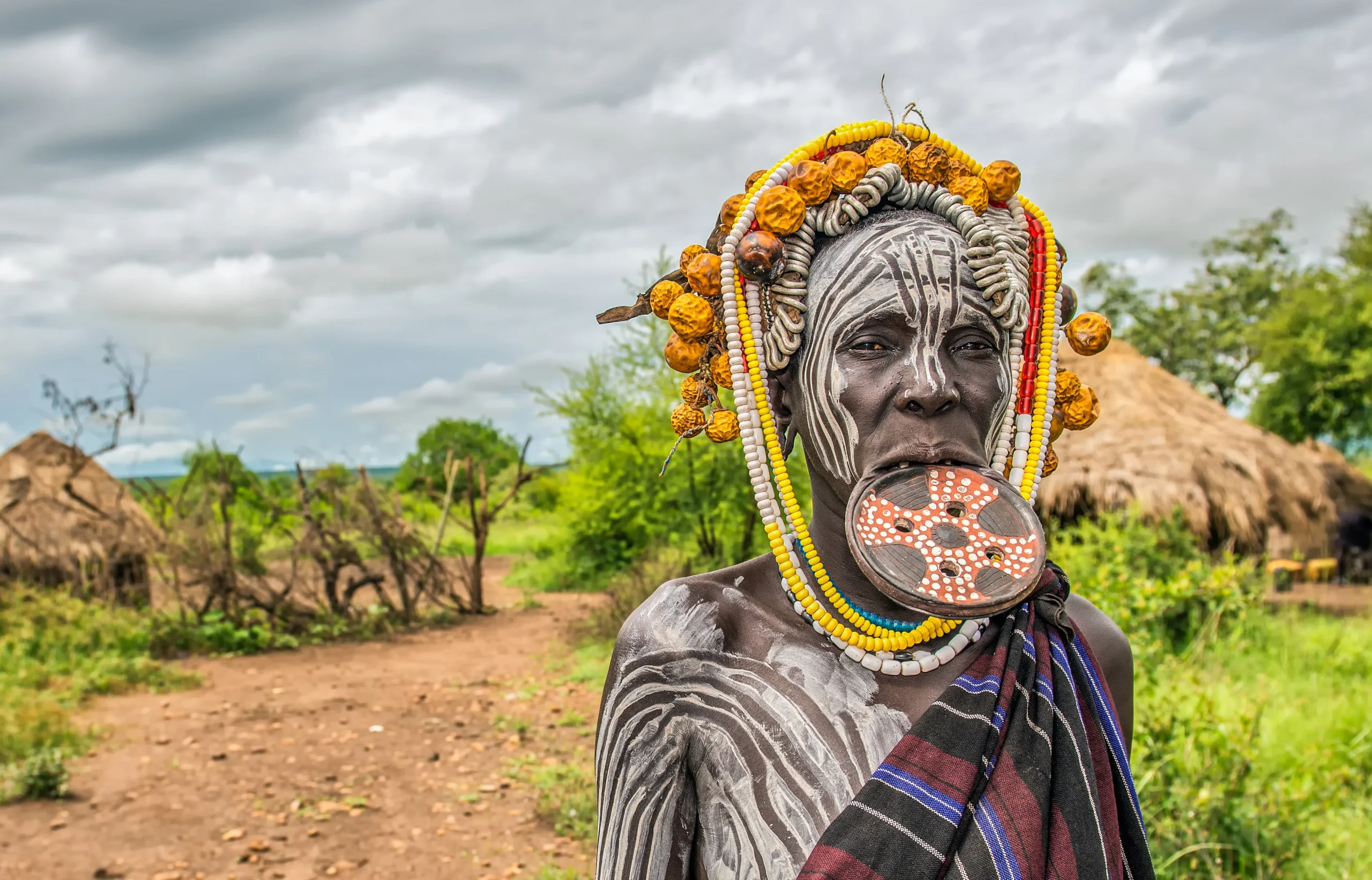 Cultural safaris