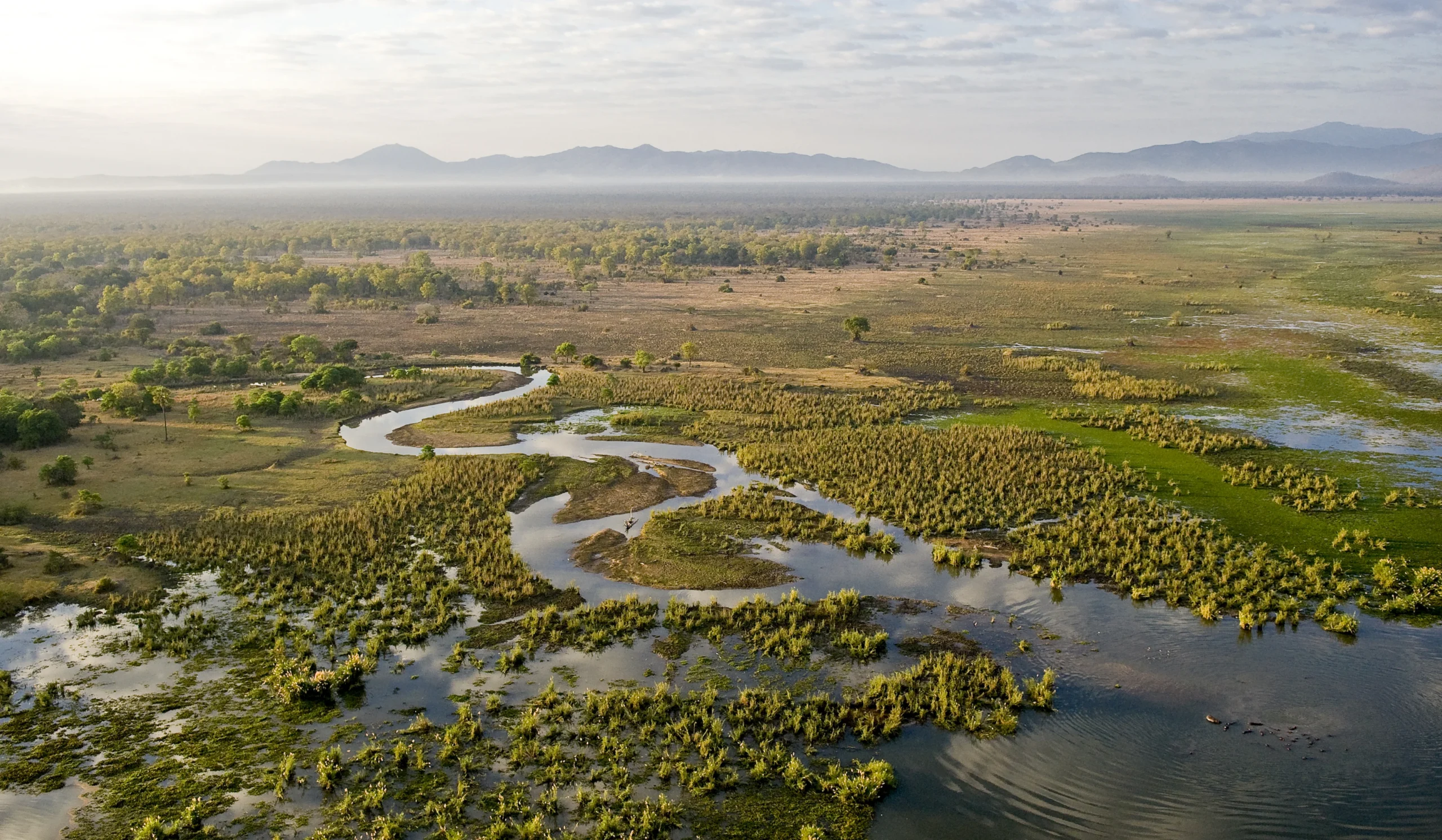 Epic safaris