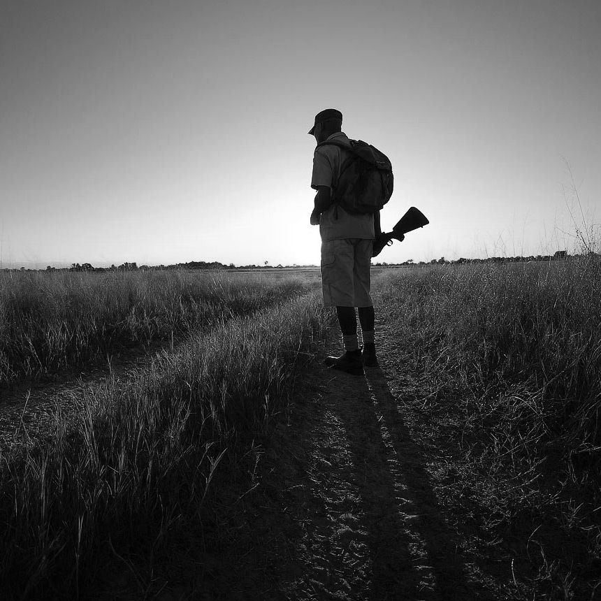 Safari In February