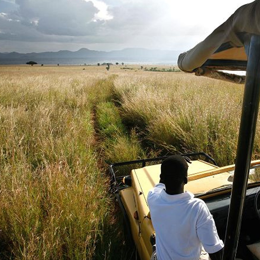 Safari In November