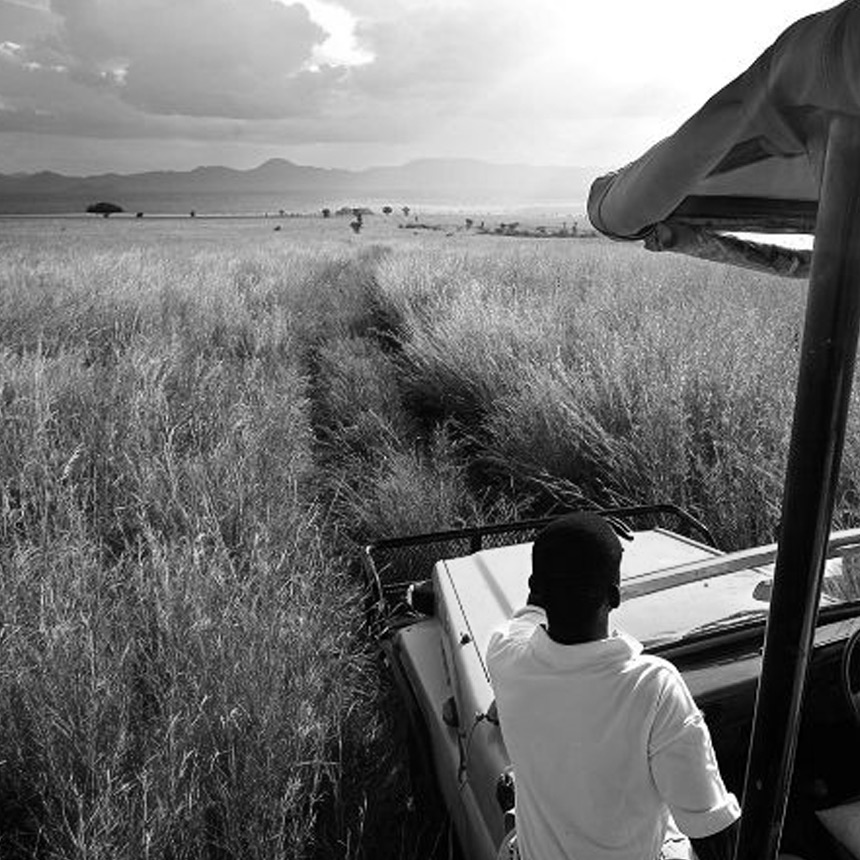 Safari In November