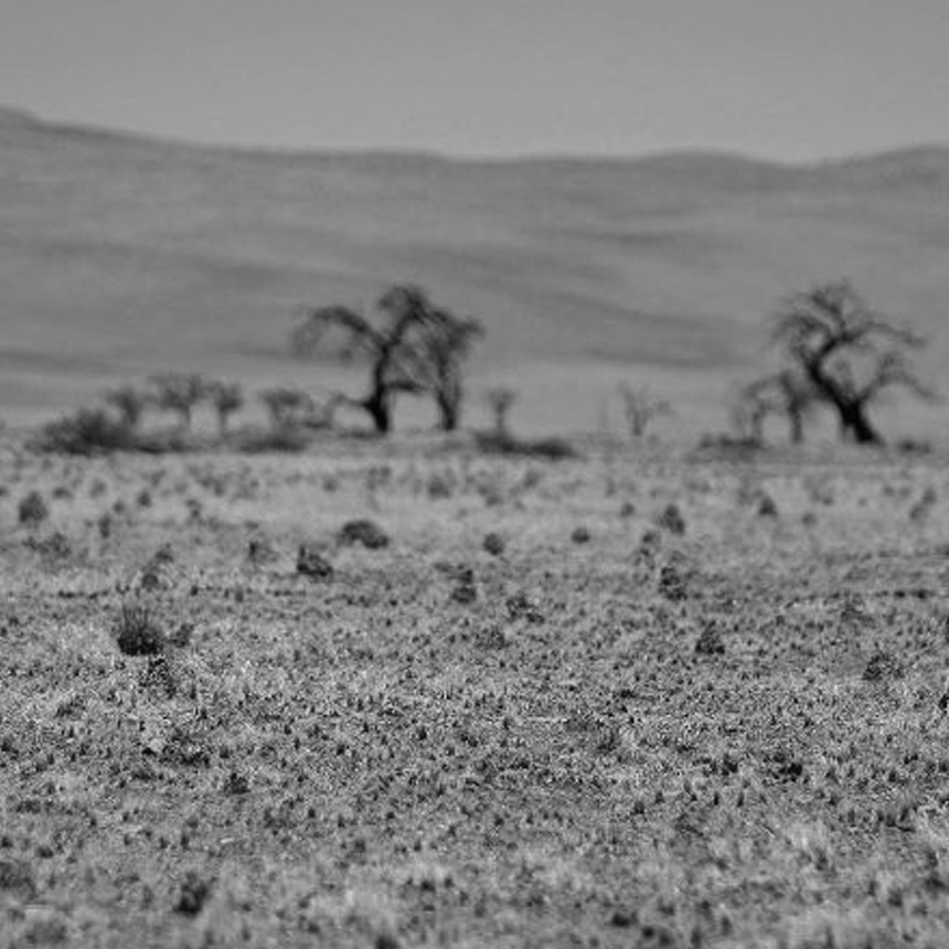 Safari In October