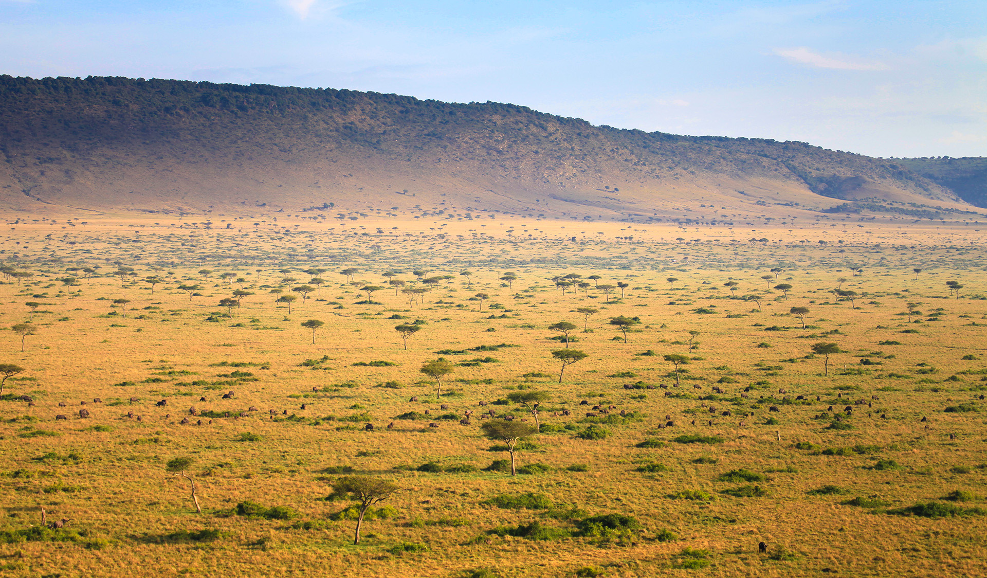 The best locations for safari in Africa