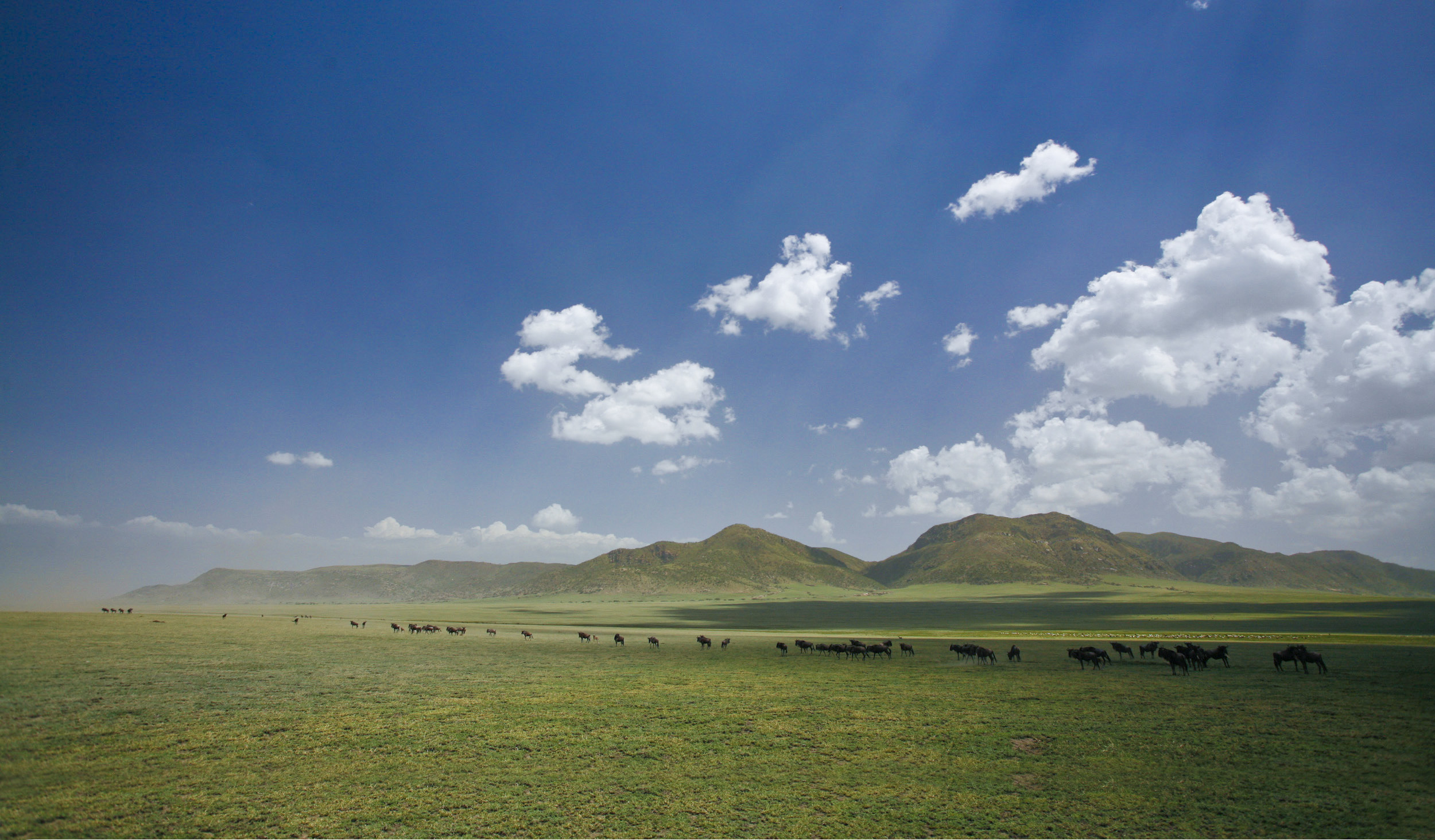 The best locations for safari in Serengeti