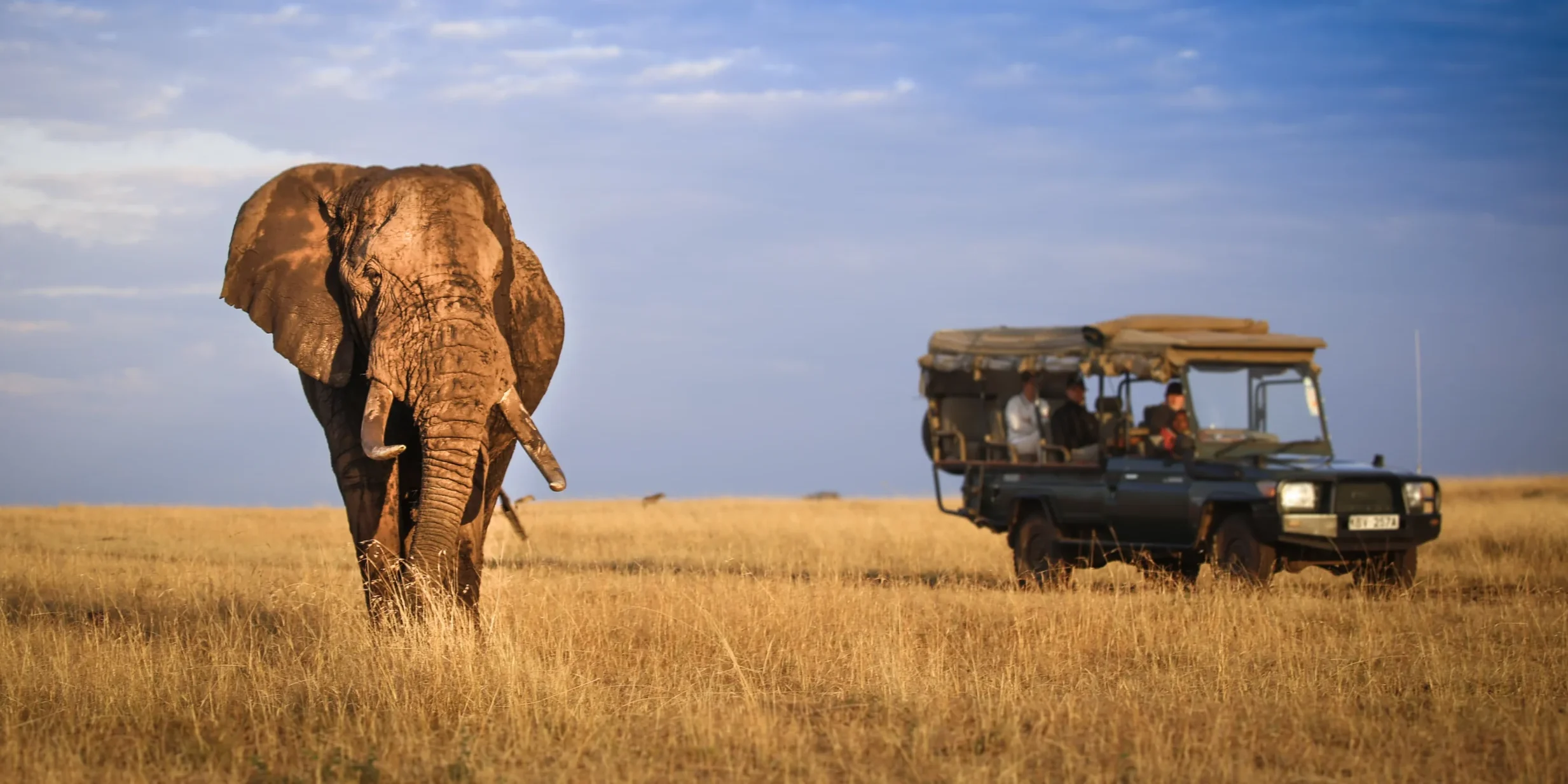 let us know your thoughts about Tanzania and we will help you create the perfect trip