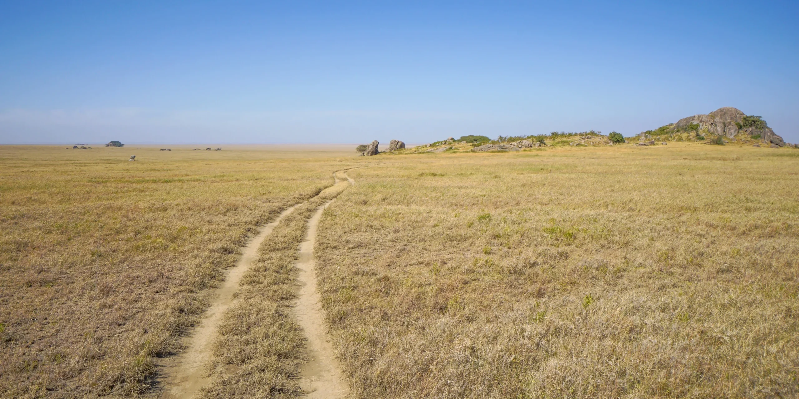 let us know your thoughts about Tanzania and we will help you create the perfect trip