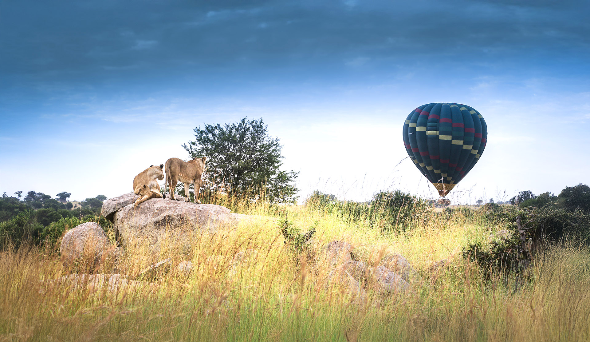 The best balloon safari in Serengeti