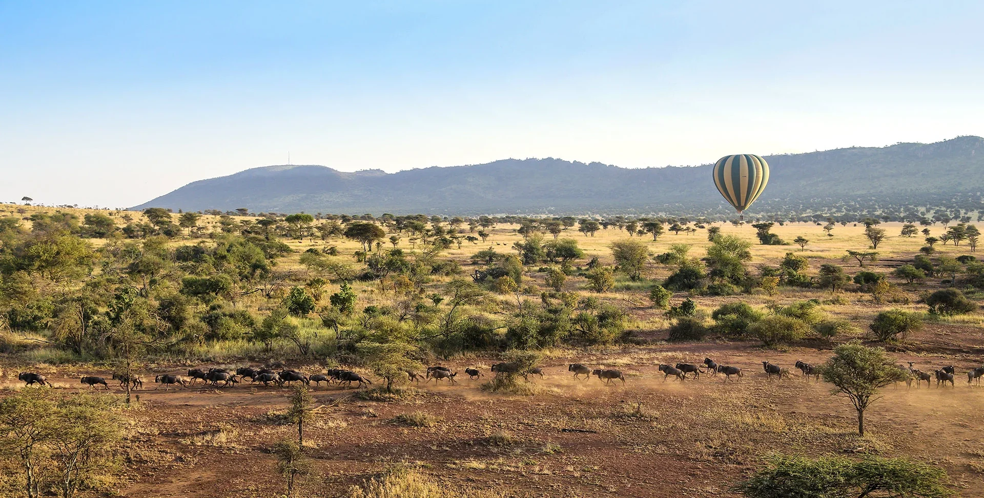 let us know your thoughts about Tanzania and we will help you create the perfect trip