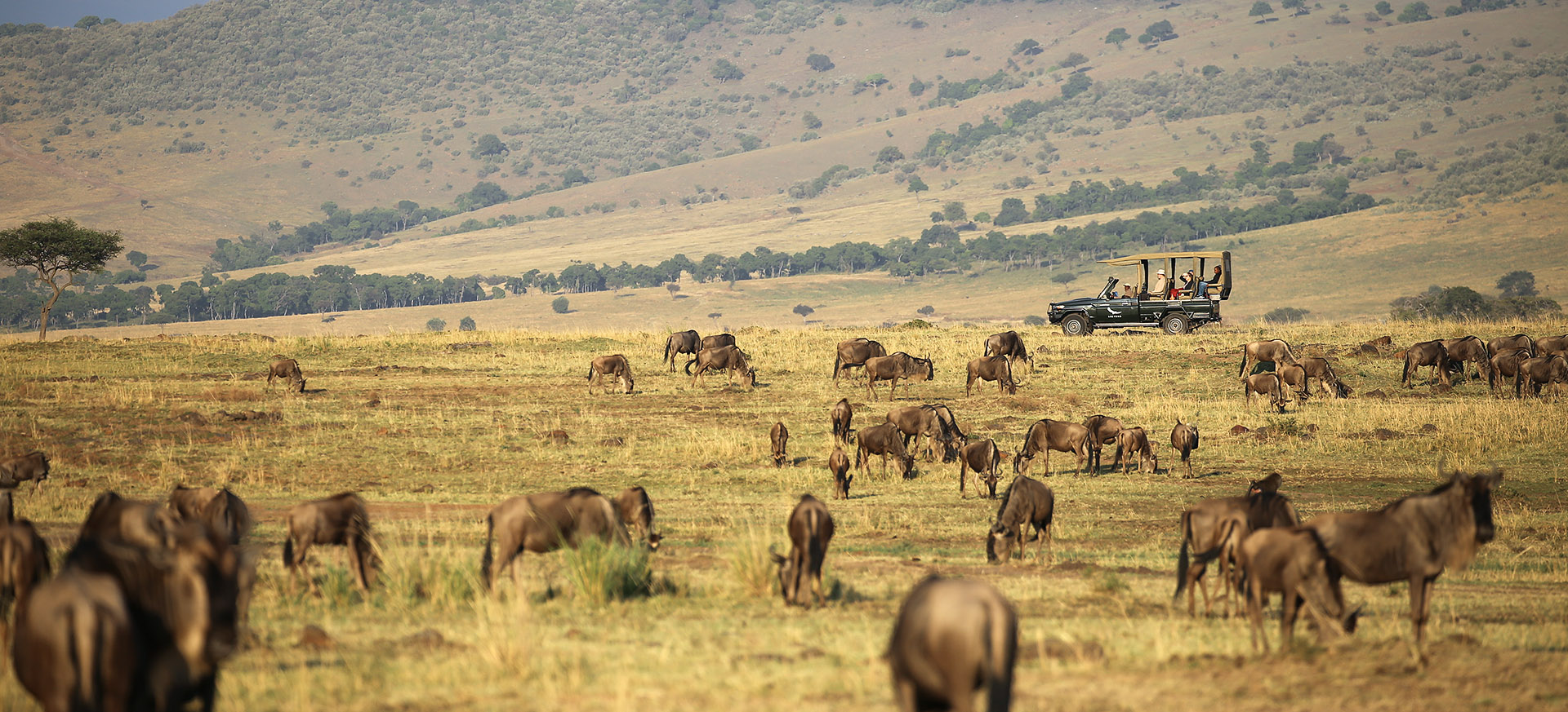 let us know your thoughts about Kenya and we will help you create the perfect trip