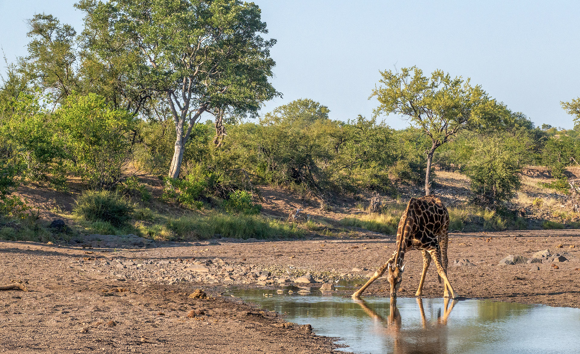 The history, geography and wildlife of the Tuli Block
